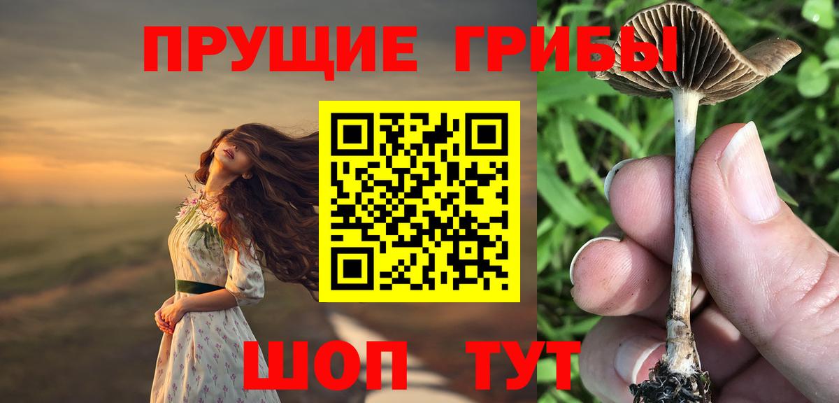 Галлюциногенные грибы прущие грибы  Псилоцибиновые грибы ЛСД  Усинск  Вход с VPN 